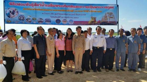 สศข.12 ร่วมพิธี ปล่อยพันธุ์สัตว์น้ำเฉลิมพระเกียรติและถวายเป็นพระราชกุศล"