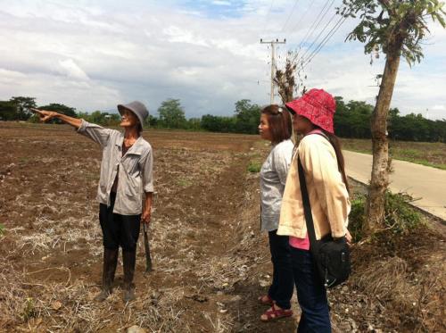 สศท. 1 ลงพื้นที่ติดตามสถานการณ์การเพาะปลูกข้าวนาปี