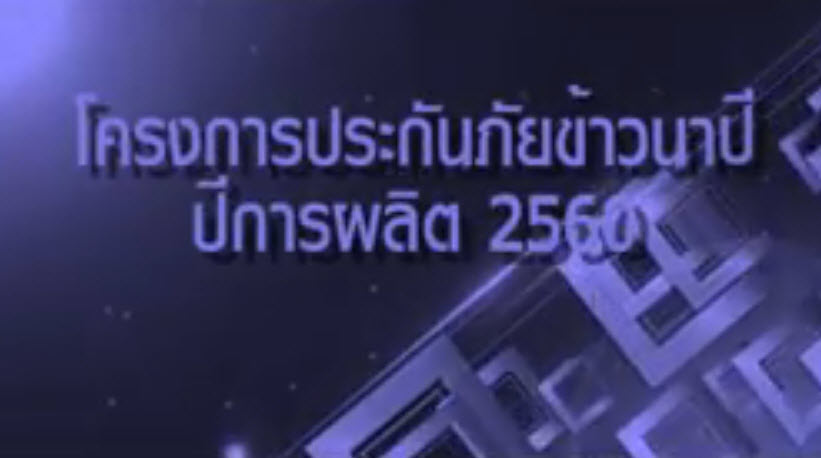 เศรษฐกิจการเกษตรเพื่อประชาชน เทปที่ 129 โครงการประกันภัยข้าวนาปี ปีการผลิต 2560