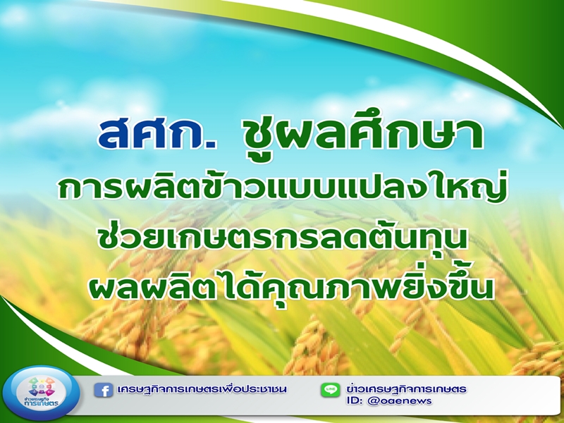 สศท.7 ชูผลศึกษาการผลิตข้าวแบบแปลงใหญ่ ช่วยเกษตรกรลดต้นทุน ผลผลิตได้คุณภาพยิ่งขึ้น