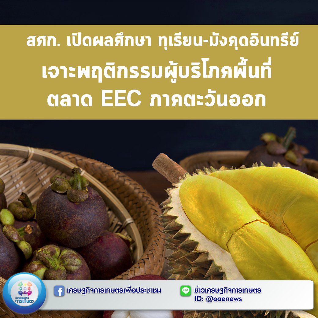 สศก. เปิดผลศึกษา ทุเรียน-มังคุดอินทรีย์ เจาะพฤติกรรมผู้บริโภคพื้นที่ตลาด EEC ภาคตะวันออก 