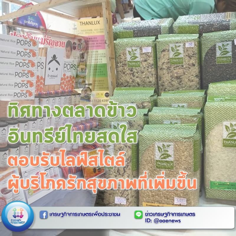 ทิศทางตลาดข้าวอินทรีย์ไทยสดใส ตอบรับไลฟ์สไตล์ผู้บริโภครักสุขภาพที่เพิ่มขึ้น