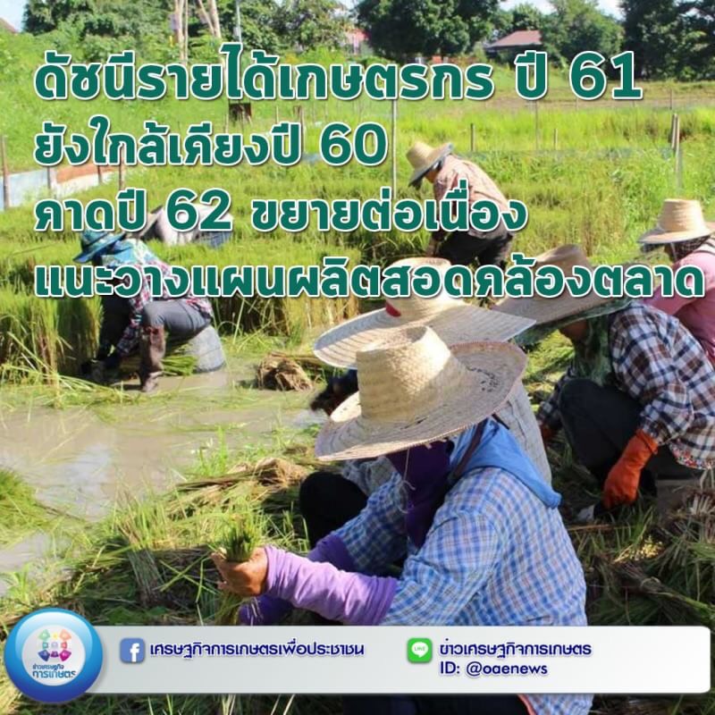 ดัชนีรายได้เกษตรกร ปี 61 ยังใกล้เคียงปี 60 คาดปี 62 ขยายต่อเนื่อง แนะวางแผนผลิตสอดคล้องตลาด