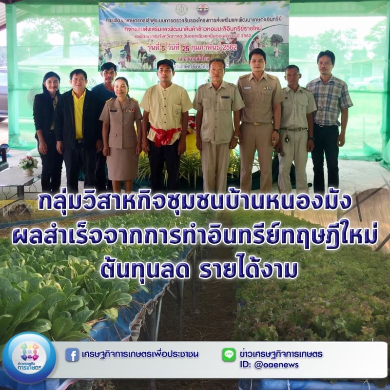 กลุ่มวิสาหกิจชุมชนบ้านหนองมัง ผลสำเร็จจากการทำอินทรีย์ทฤษฎีใหม่ ต้นทุนลด รายได้งาม