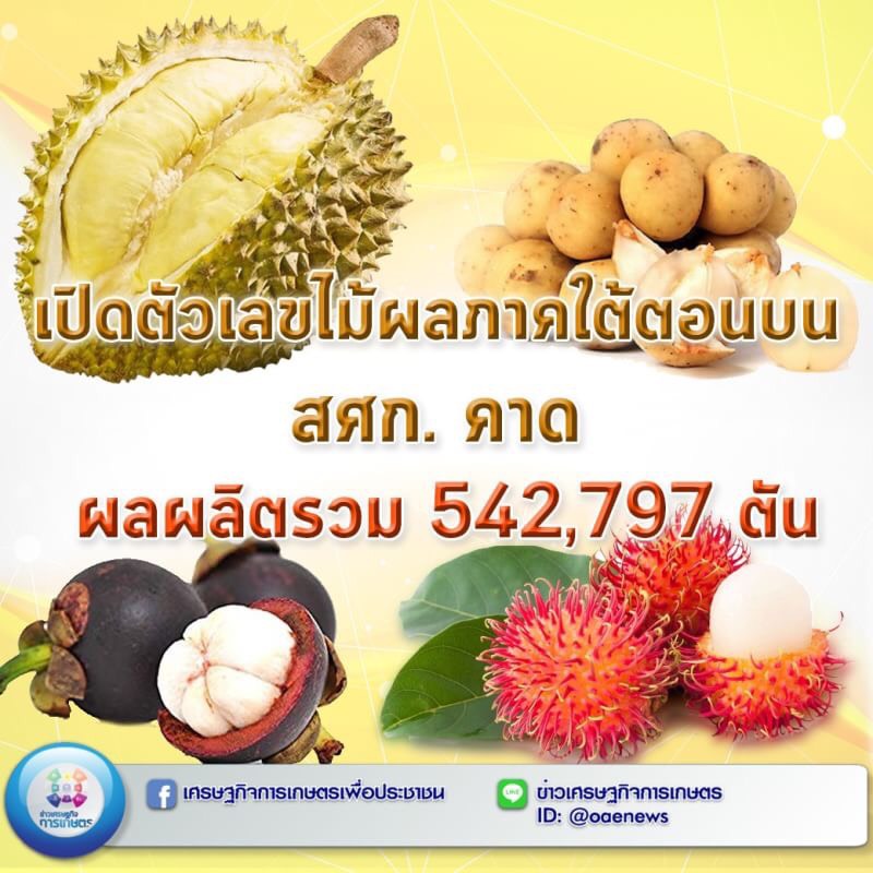 เปิดตัวเลขไม้ผลภาคใต้ตอนบน สศก. คาด ผลผลิตรวม 542,797 ตัน