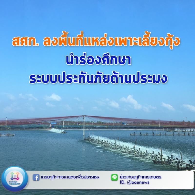 สศก. ลงพื้นที่แหล่งเพาะเลี้ยงกุ้ง นำร่องศึกษาระบบประกันภัยด้านประมง 