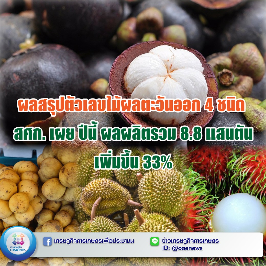 ผลสรุปตัวเลขไม้ผลตะวันออก 4 ชนิด สศก. เผย ปีนี้ ผลผลิตรวม 8.8 แสนตัน เพิ่มขึ้น 33%