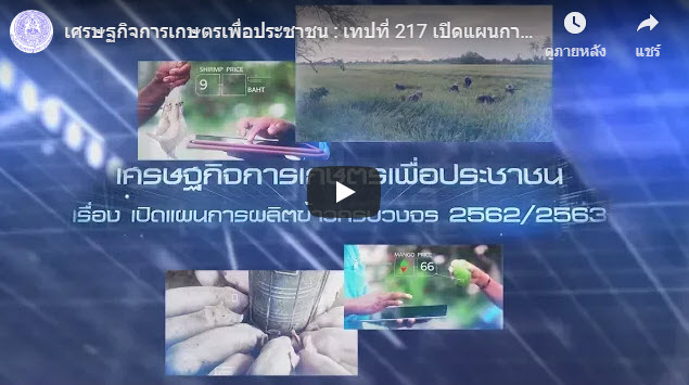 เศรษฐกิจการเกษตรเพื่อประชาชน : เทปที่ 217 เปิดแผนการผลิตข้าวครบวงจร 2562/2563