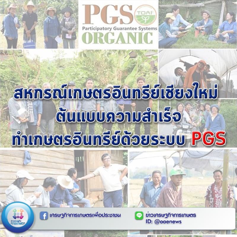 สหกรณ์เกษตรอินทรีย์เชียงใหม่ ต้นแบบความสำเร็จทำเกษตรอินทรีย์ด้วยระบบ PGS