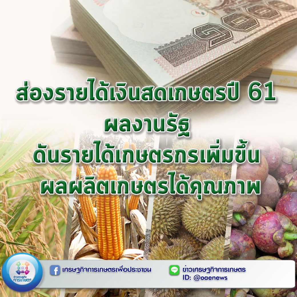 ส่องรายได้เงินสดเกษตร ปี 61 ผลงานรัฐ ดันรายได้เกษตรกรเพิ่มขึ้น ผลผลิตเกษตรได้คุณภาพ