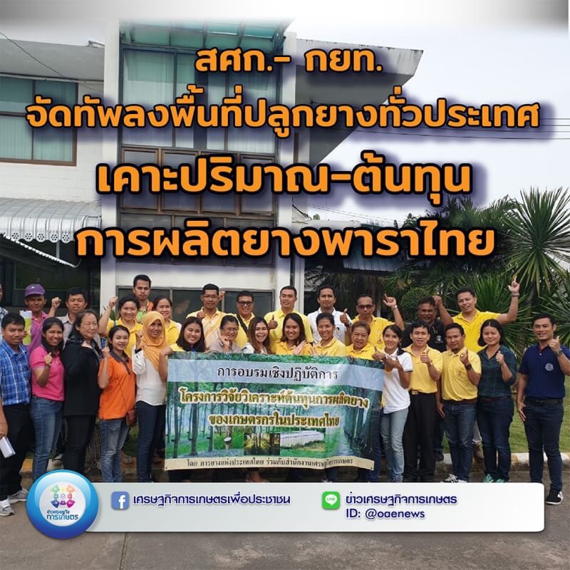 สศก.- กยท. จัดทัพลงพื้นที่ปลูกยางทั่วประเทศ เคาะปริมาณ-ต้นทุนการผลิตยางพาราไทย