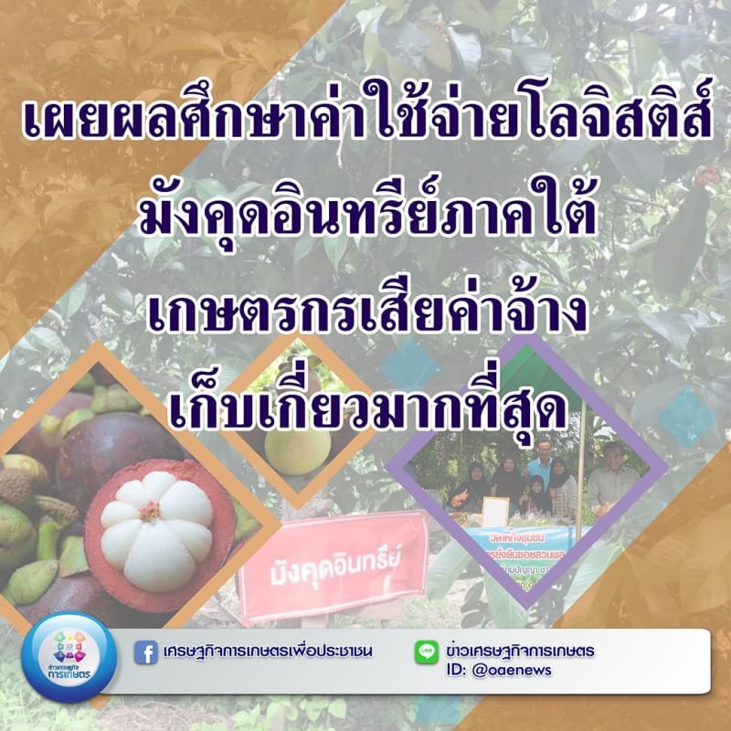 เผยผลศึกษาค่าใช้จ่ายโลจิสติกส์มังคุดอินทรีย์ภาคใต้ เกษตรกรเสียค่าจ้างเก็บเกี่ยวมากที่สุด 