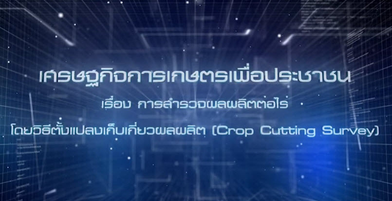 เศรษฐกิจการเกษตรเพื่อประชาชน : เทปที่ 235 การสำรวจผลผลิตต่อไร่ โดยวิธีตั้งแปลงเก็บเกี่ยวผลผลิต