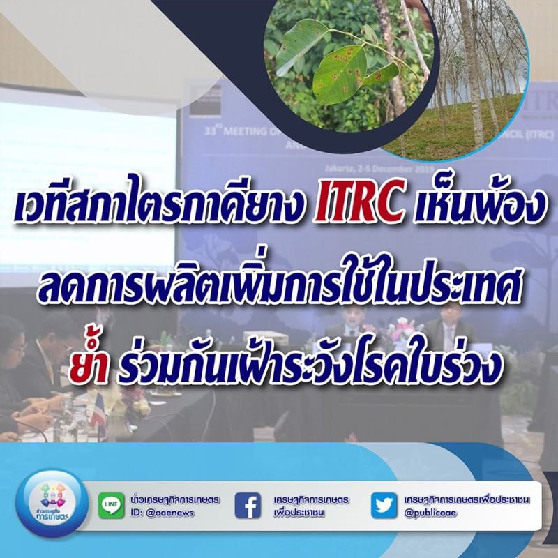 เวทีสภาไตรภาคียาง ITRC เห็นพ้อง ลดการผลิต เพิ่มการใช้ในประเทศ ย้ำ ร่วมกันเฝ้าระวังโรคใบร่วง 