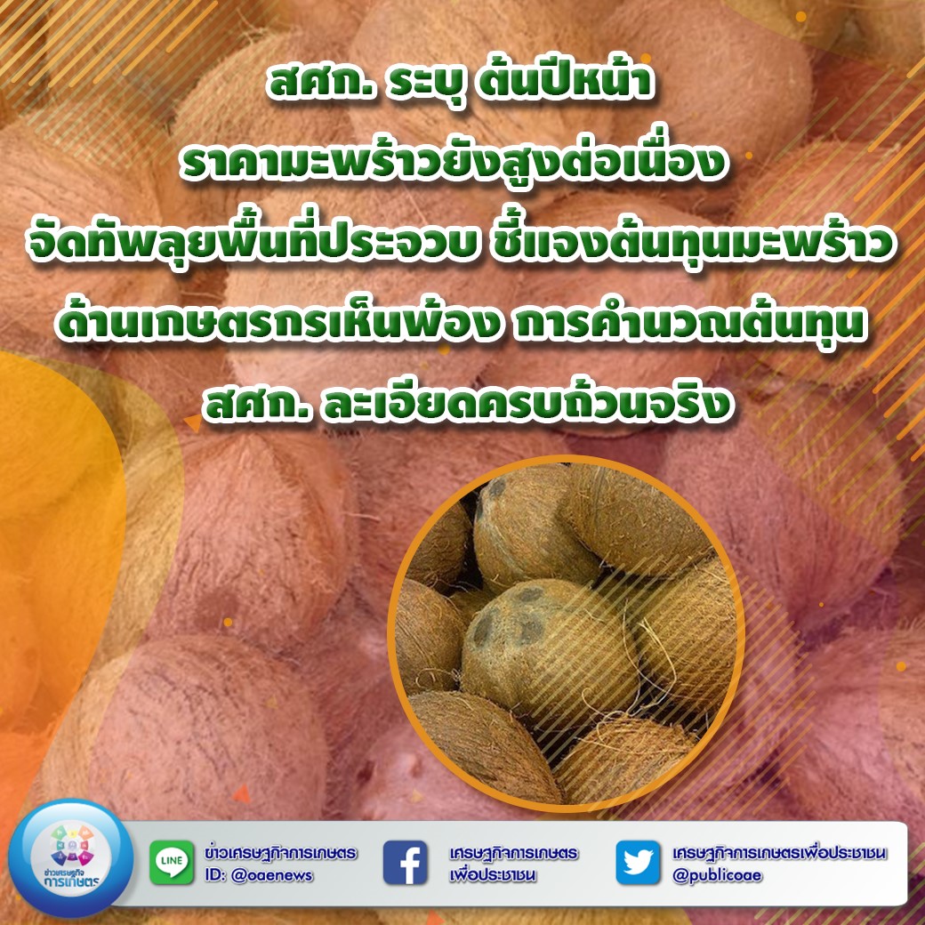 สศก. ระบุ ต้นปีหน้า ราคามะพร้าวยังสูงต่อเนื่อง  จัดทัพลุยพื้นที่ประจวบ ชี้แจงต้นทุนมะพร้าว  ด้านเกษตรกรเห็นพ้อง การคำนวณต้นทุน สศก. ละเอียดครบถ้วนจริง