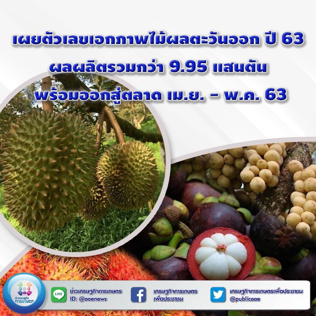 เผยตัวเลขเอกภาพไม้ผลตะวันออก ปี 63 ผลผลิตรวมกว่า 9.95 แสนตัน พร้อมออกสู่ตลาด เม.ย. - พ.ค. 63 