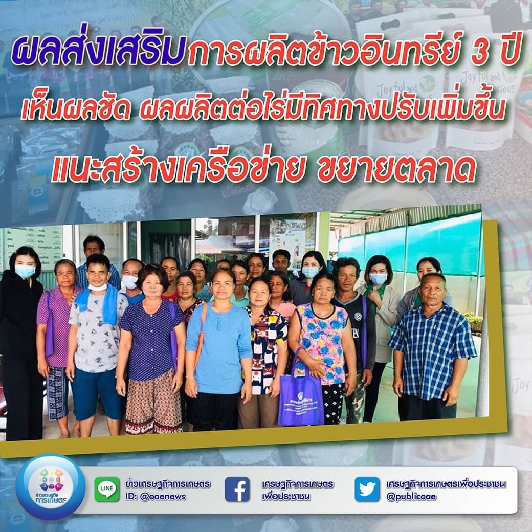 ผลส่งเสริมการผลิตข้าวอินทรีย์ 3 ปี เห็นผลชัด ผลผลิตต่อไร่มีทิศทางปรับเพิ่มขึ้น แนะสร้างเครือข่าย ขยายตลาด