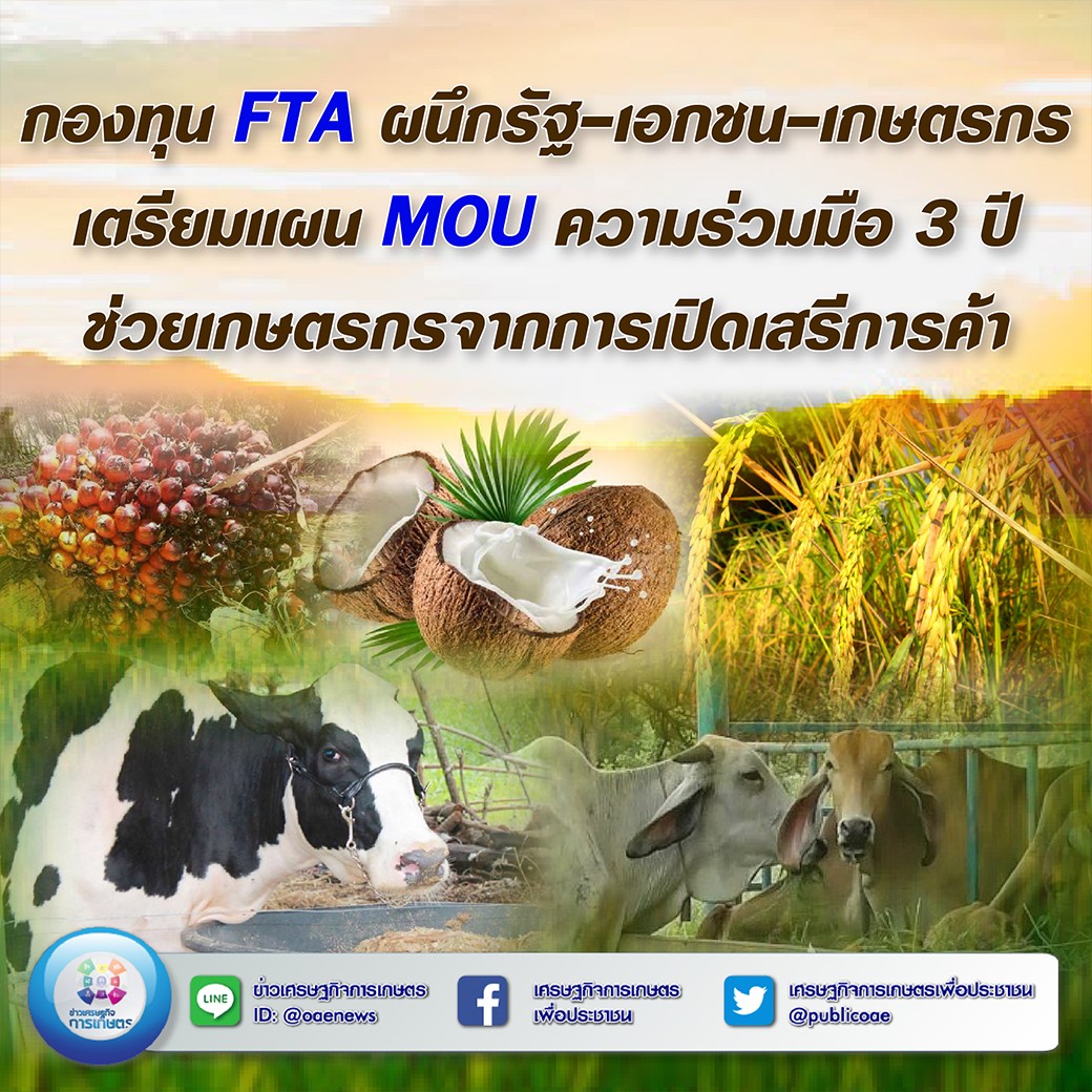 กองทุน FTA ผนึกรัฐ-เอกชน-เกษตรกร เตรียมแผน MOU ความร่วมมือ 3 ปี  ช่วยเกษตรกรจากการเปิดเสรีการค้า