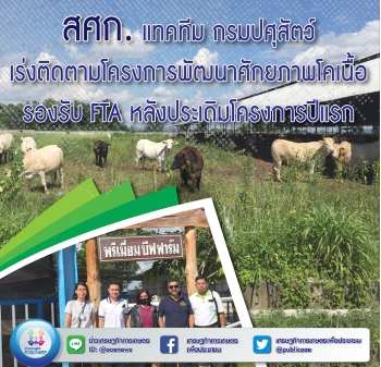 สศก. แทคทีม กรมปศุสัตว์ เร่งติดตามโครงการพัฒนาศักยภาพโคเนื้อรองรับ FTA หลังประเดิมโครงการปีแรก 