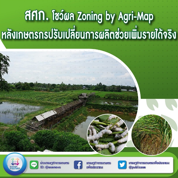 สศก. โชว์ผล Zoning by Agri-Map หลังเกษตรกรปรับเปลี่ยนการผลิตช่วยเพิ่มรายได้จริง 