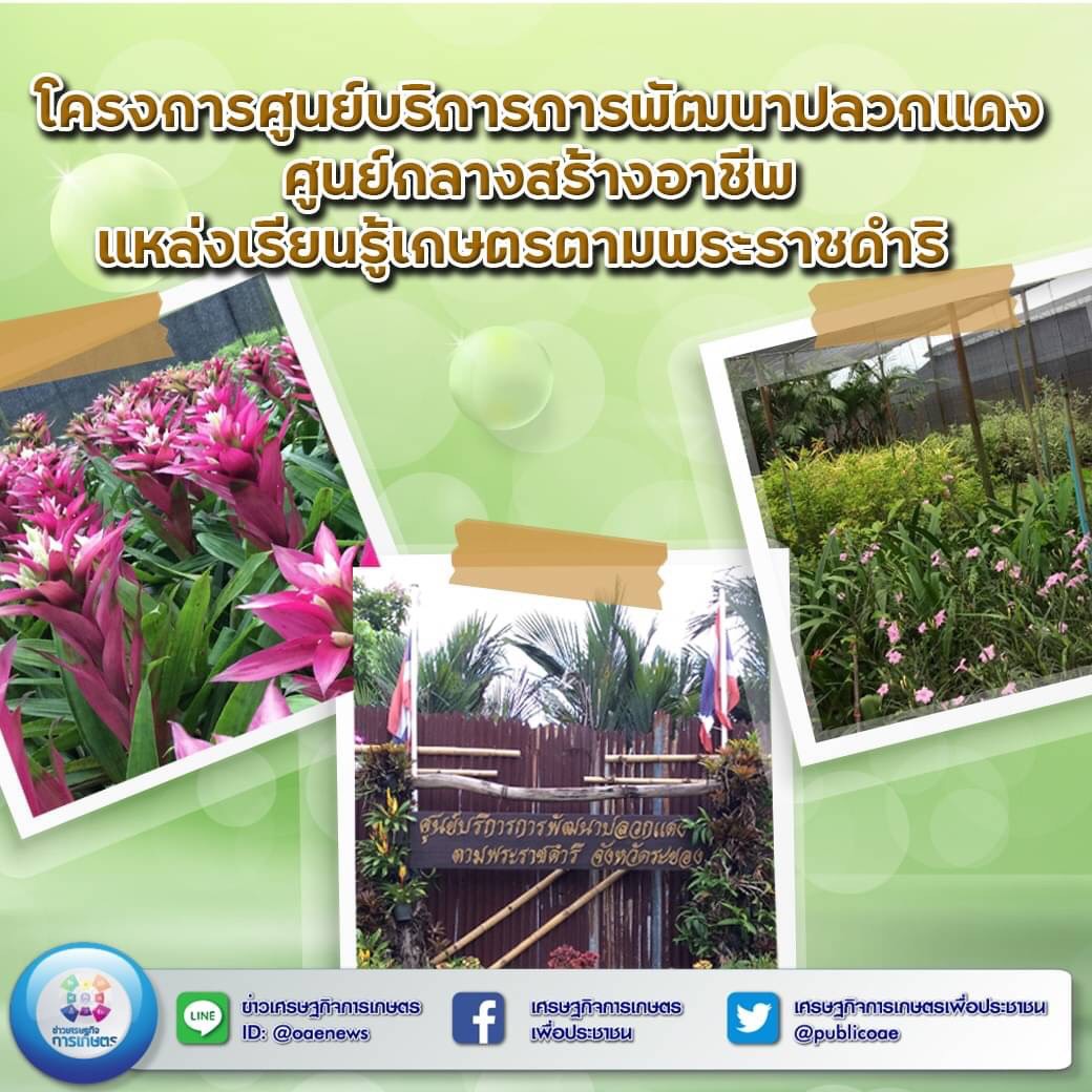 โครงการศูนย์บริการการพัฒนาปลวกแดง ศูนย์กลางสร้างอาชีพ แหล่งเรียนรู้เกษตรตามพระราชดำริ