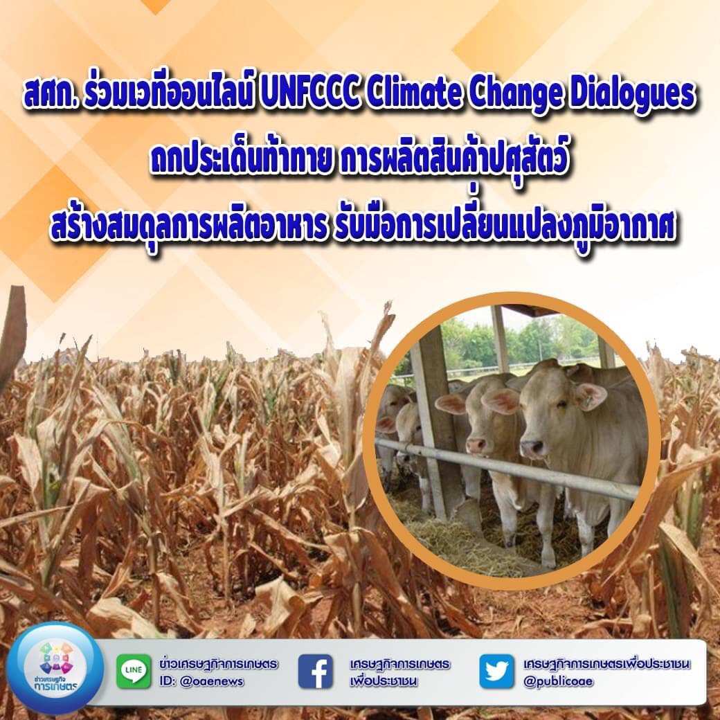 สศก. ร่วมเวทีออนไลน์ UNFCCC Climate Change Dialogues  ถกประเด็นท้าทาย การผลิตสินค้าปศุสัตว์ สร้างสมดุลการผลิตอาหาร รับมือการเปลี่ยนแปลงภูมิอากาศ 