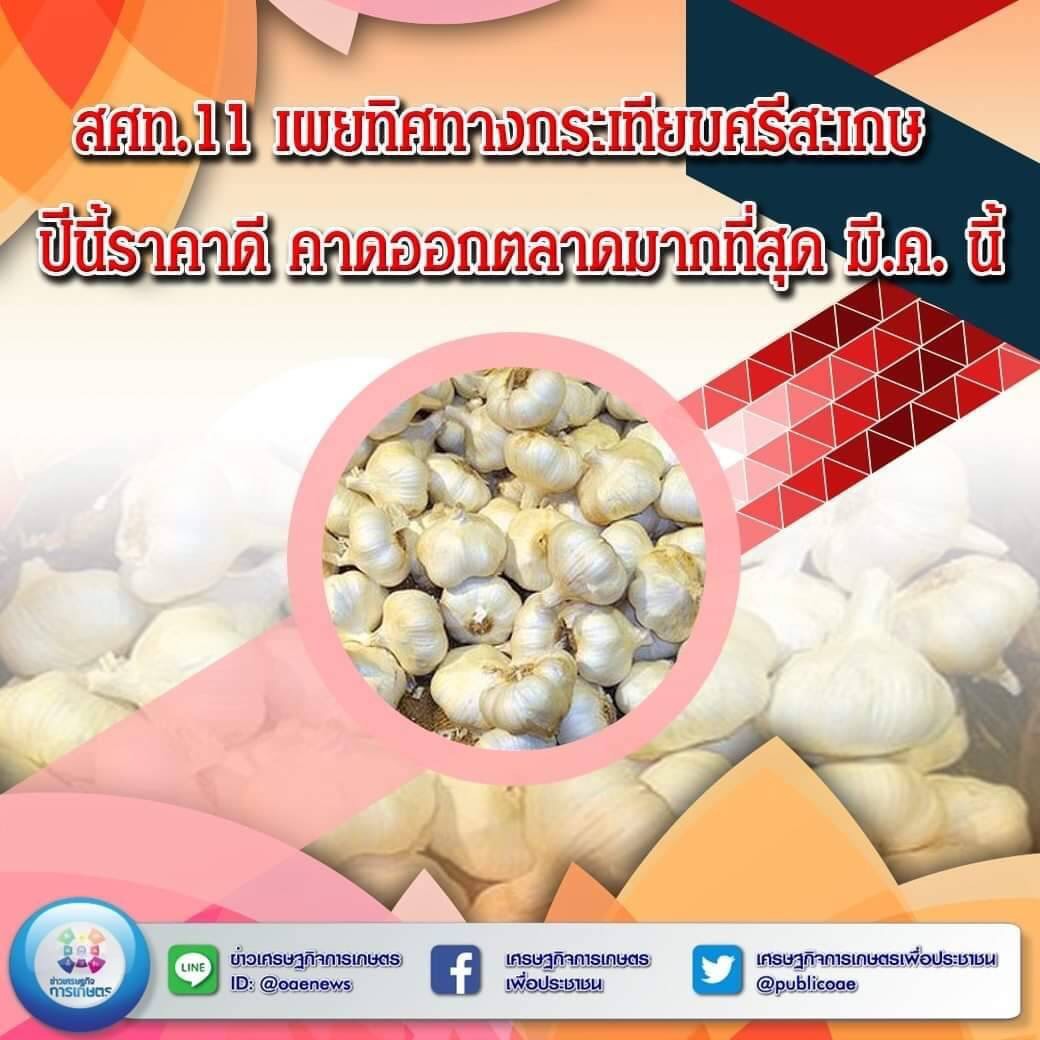 สศท.9 ลงพื้นที่ จ.นราธิวาส เกาะติดสถานการณ์โรคใบร่วงยางฯ เตือนเกษตรกรเฝ้าระวังอย่างใกล้ชิด 