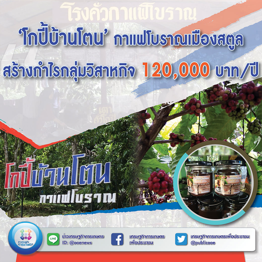 โกปี้บ้านโตน’ กาแฟโบราณเมืองสตูล สร้างกำไรกลุ่มวิสาหกิจ 120,000 บาท/ปี  