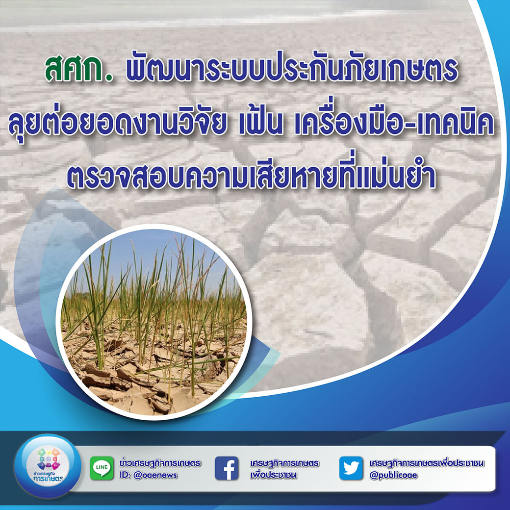 สศก. พัฒนาระบบประกันภัยเกษตร ลุยต่อยอดงานวิจัย เฟ้น เครื่องมือ-เทคนิค ตรวจสอบความเสียหายที่แม่นยำ 