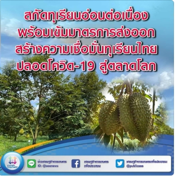 สกัดทุเรียนอ่อนต่อเนื่อง พร้อมเข้มมาตรการส่งออก สร้างความเชื่อมั่นทุเรียนไทยปลอดโควิด-19 สู่ตลาดโลก 