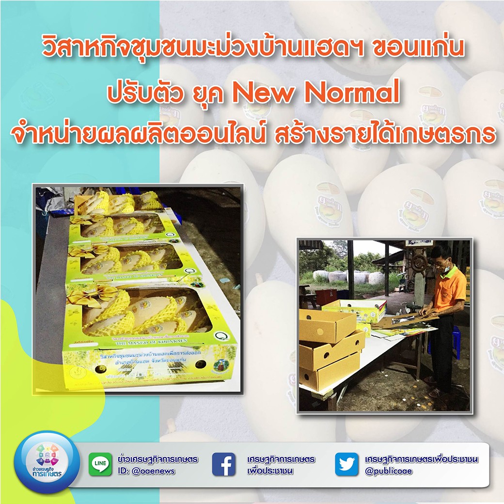 วิสาหกิจชุมชนมะม่วงบ้านแฮดฯ ขอนแก่น ปรับตัว ยุค New Normal จำหน่ายผลผลิตออนไลน์ สร้างรายได้เกษตรกร 