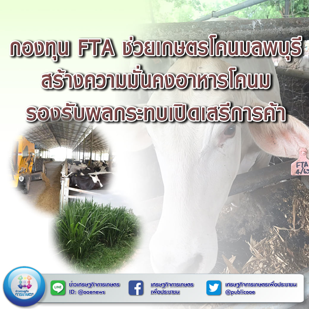 กองทุน FTA ช่วยเกษตรกรโคนมลพบุรี สร้างความมั่นคงด้านอาหารโคนม รองรับผลกระทบเปิดเสรีการค้า