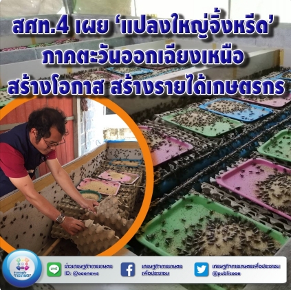 สศท.4 เผย ‘แปลงใหญ่จิ้งหรีด’ ภาคตะวันออกเฉียงเหนือ สร้างโอกาส สร้างรายได้เกษตรกร 