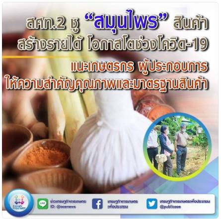 สศท.2 ชู “สมุนไพร” สินค้า Future Crop สร้างรายได้ โอกาสโตช่วงโควิด-19 แนะเกษตรกร ผู้ประกอบการ ให้ความสำคัญคุณภาพและมาตรฐานสินค้า