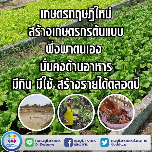 เกษตรทฤษฎีใหม่ สร้างเกษตรกรต้นแบบ พึ่งพาตนเอง มั่นคงด้านอาหาร มีกิน มีใช้ สร้างรายได้ตลอดปี 