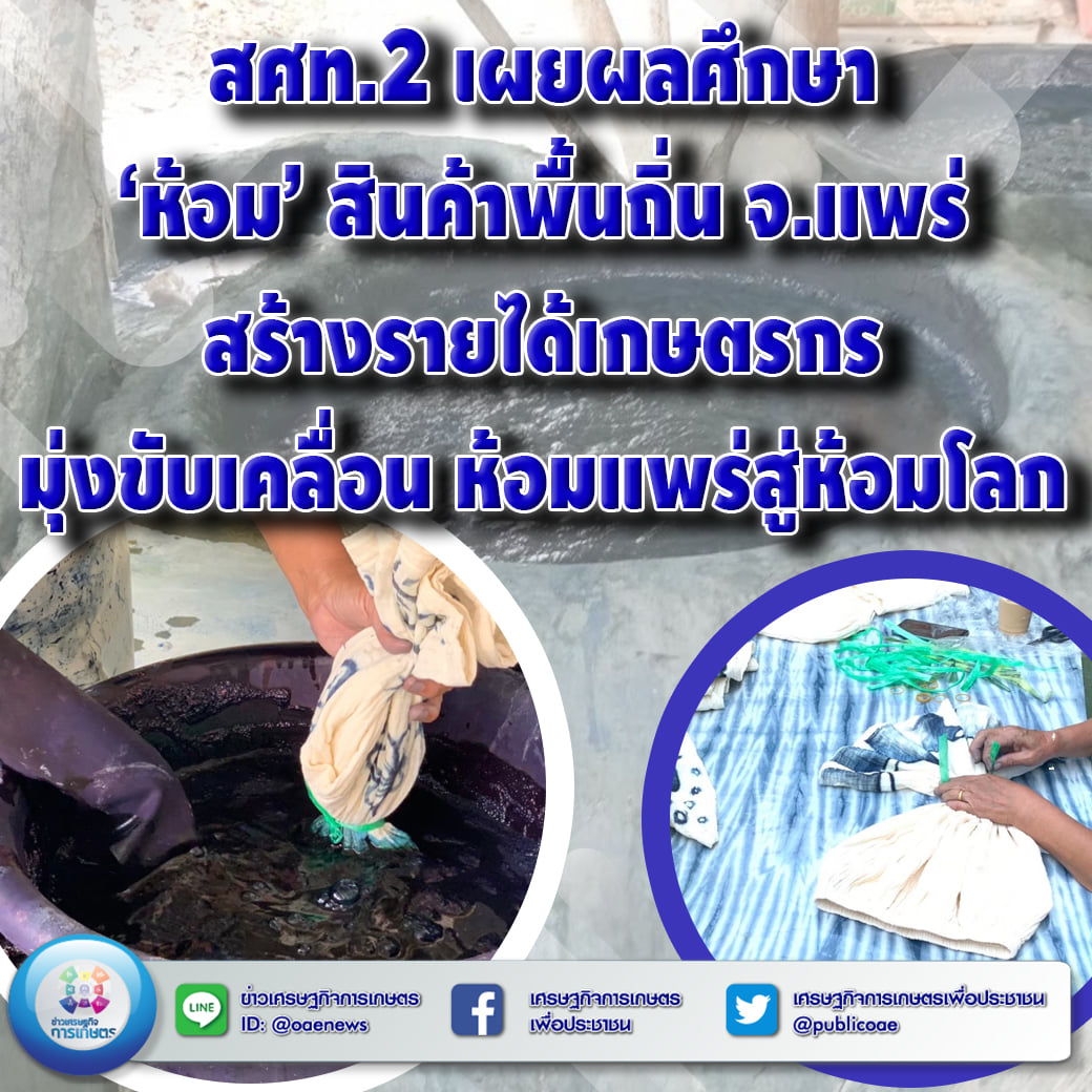 สศท.2 เผยผลศึกษา ‘ห้อม’ สินค้าพื้นถิ่น จ.แพร่ สร้างรายได้เกษตรกร มุ่งขับเคลื่อน ห้อมแพร่สู่ห้อมโลก