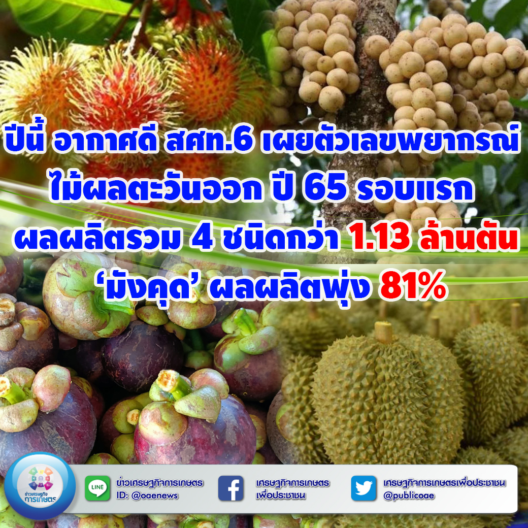 ปีนี้ อากาศดี สศท.6 เผยตัวเลขพยาการณ์ ไม้ผลตะวันออก ปี 65 รอบแรก ผลผลิตรวม 4 ชนิดกว่า 1.13 ล้านตัน ‘มังคุด’ ผลผลิตพุ่ง 81%