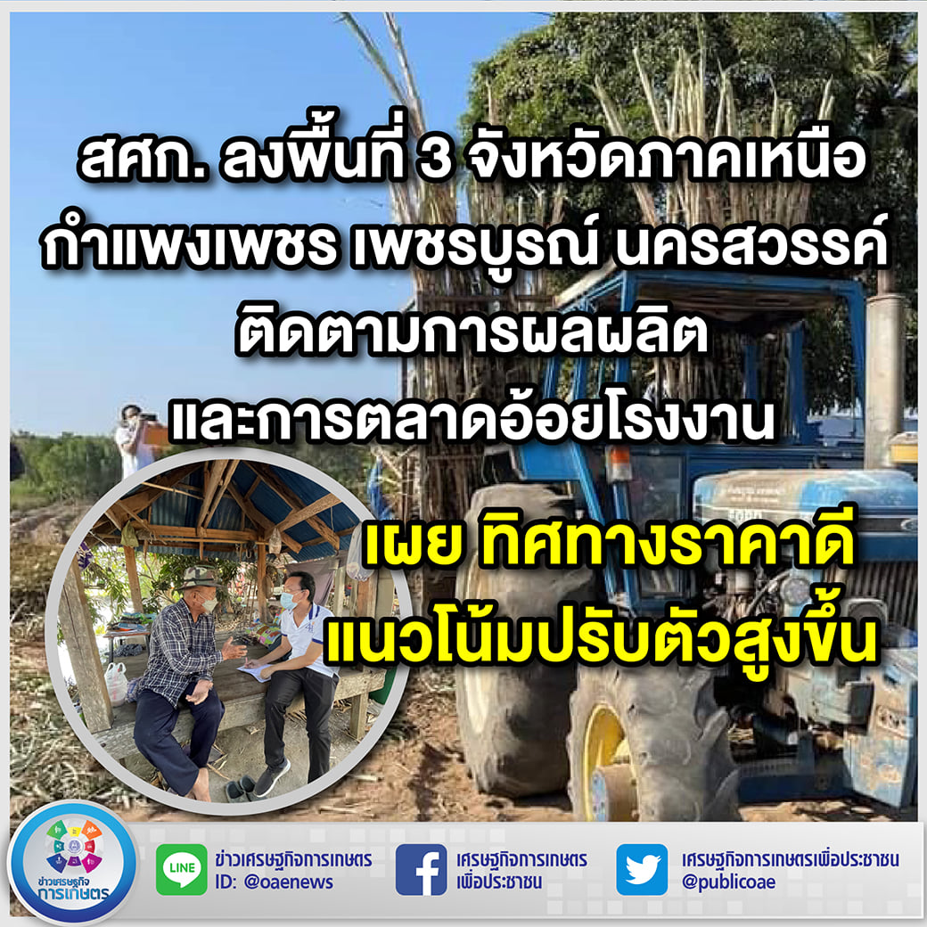 สศก. ลงพื้นที่ 3 จังหวัดภาคเหนือ กำแพงเพชร เพชรบูรณ์ นครสวรรค์ ติดตามการผลผลิตและการตลาดอ้อยโรงงาน เผย ทิศทางราคาดี แนวโน้มปรับตัวสูงขึ้น