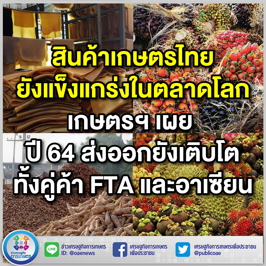 สินค้าเกษตรไทยยังแข็งแกร่งในตลาดโลก เกษตรฯ เผย ปี 64 ส่งออกยังเติบโต ทั้งคู่ค้า FTA และอาเซียน