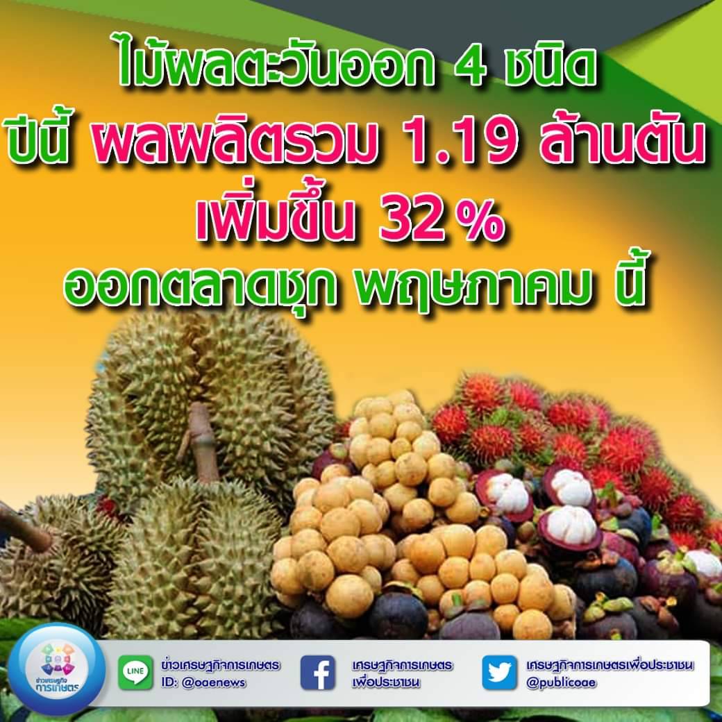 ไม้ผลตะวันออก 4 ชนิด ปีนี้ ผลผลิตรวม 1.19 ล้านตัน เพิ่มขึ้น 32% ออกตลาดชุก พฤษภาคม นี้