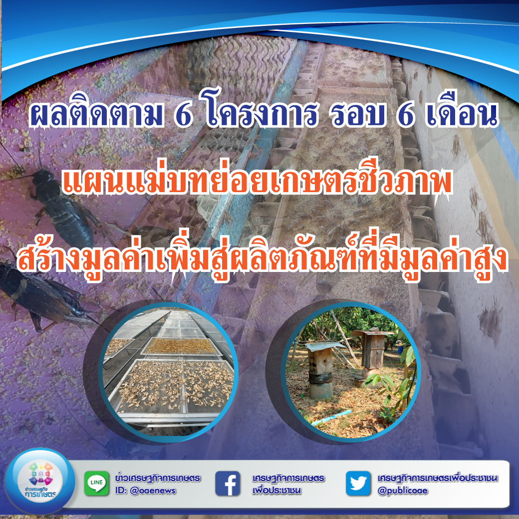 ผลติดตาม 6 โครงการ รอบ 6 เดือน แผนแม่บทย่อยเกษตรชีวภาพ สร้างมูลค่าเพิ่มสู่ผลิตภัณฑ์ที่มีมูลค่าสูง