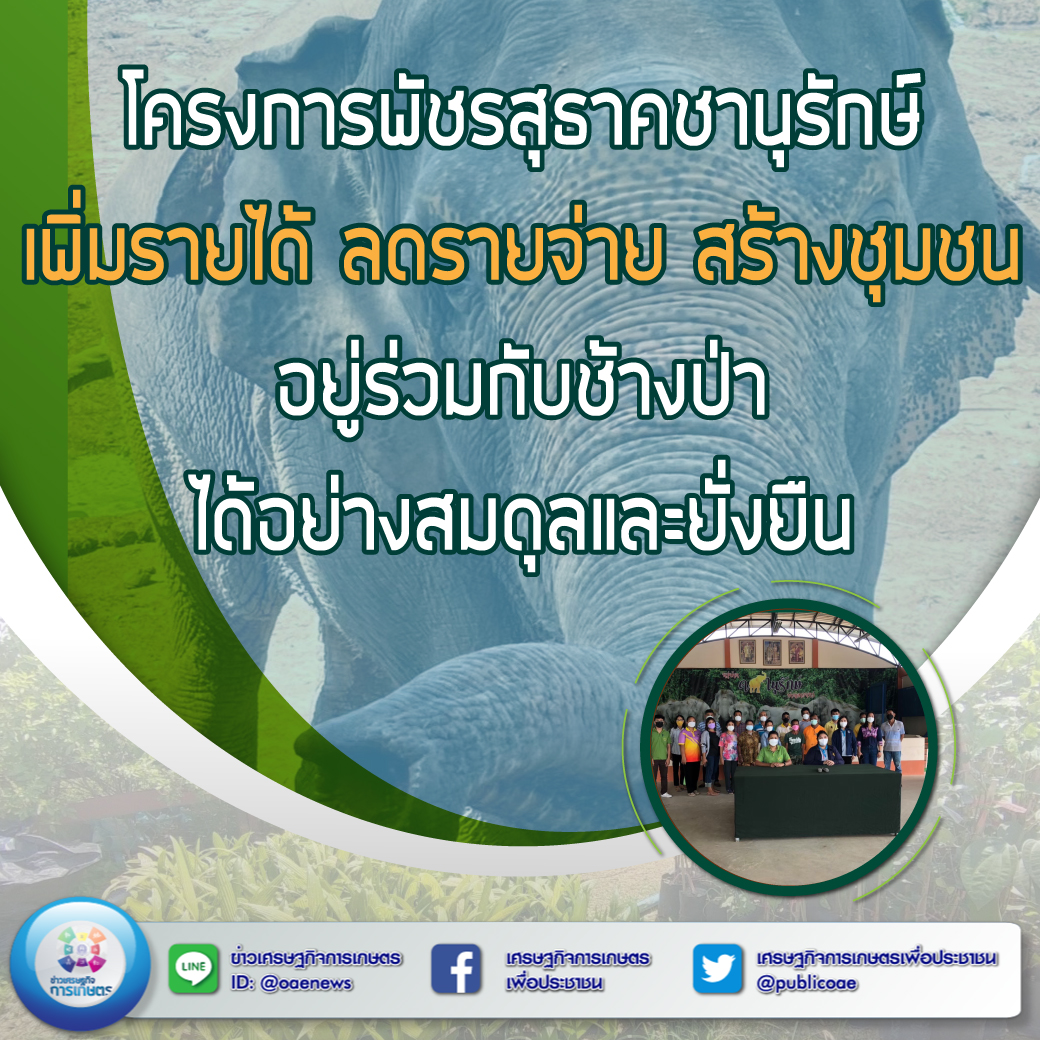 โครงการพัชรสุธาคชานุรักษ์ เพิ่มรายได้ ลดรายจ่าย สร้างชุมชนอยู่ร่วมกับช้างป่าได้อย่างสมดุลและยั่งยืน