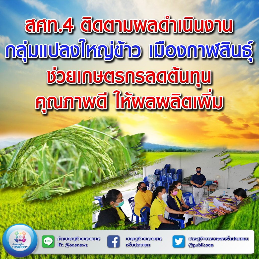 สศท.4 ติดตามผลดำเนินงานกลุ่มแปลงใหญ่ข้าว เมืองกาฬสินธุ์  ช่วยเกษตรกรลดต้นทุน คุณภาพดี ให้ผลผลิตเพิ่ม