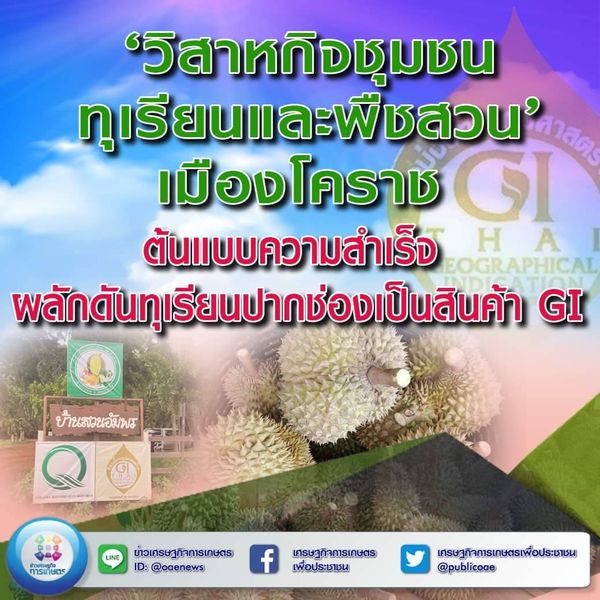 วิสาหกิจชุมชนทุเรียนและพืชสวน’ เมืองโคราช ต้นแบบความสำเร็จ ผลักดันทุเรียนปากช่องเป็นสินค้า GI