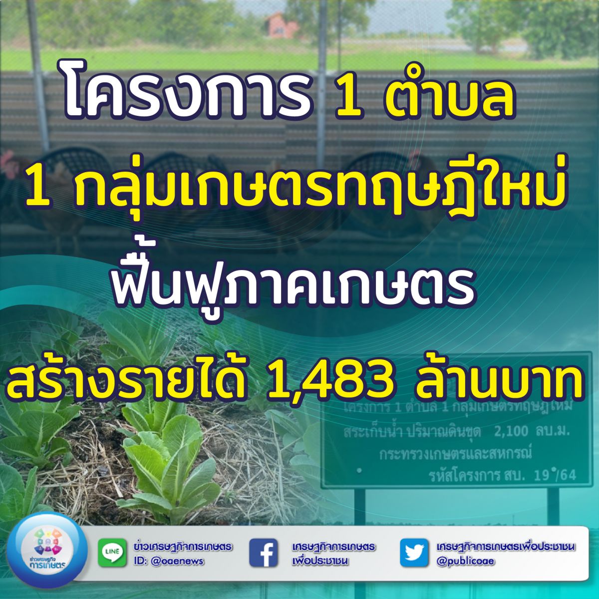 โครงการ 1 ตำบล 1 กลุ่มเกษตรทฤษฎีใหม่ ฟื้นฟูภาคเกษตร สร้างรายได้ 1,483 ล้านบาท