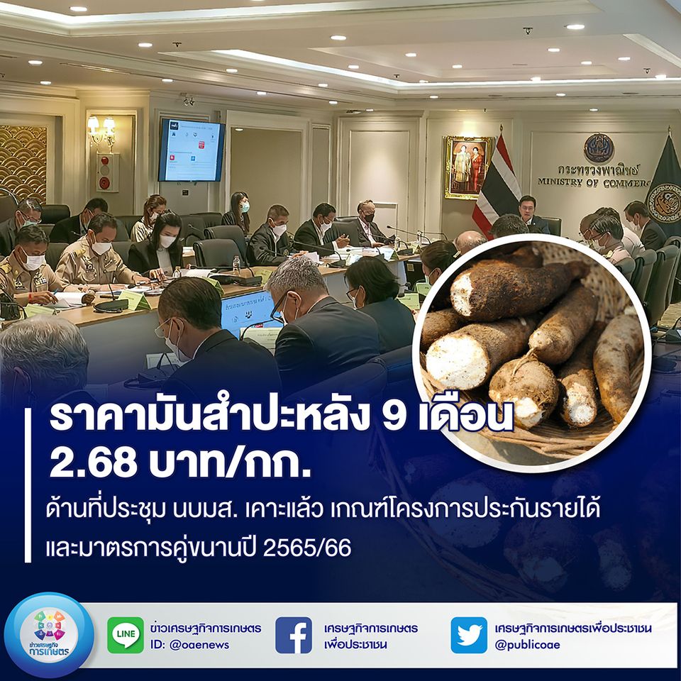 ราคามันสำปะหลัง 9 เดือน  2.68 บาท/กก. ด้านที่ประชุม นบมส. เคาะแล้ว  เกณฑ์โครงการประกันรายได้และมาตรการคู่ขนานปี 2565/66 