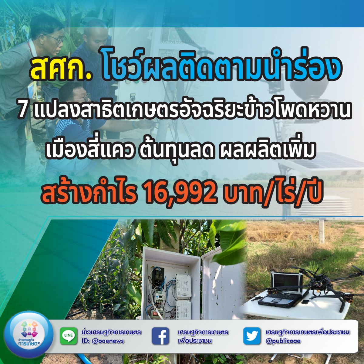  สศก. โชว์ผลติดตามนำร่อง 7 แปลงสาธิตเกษตรอัจฉริยะข้าวโพดหวาน เมืองสี่แคว ต้นทุนลด ผลผลิตเพิ่ม สร้างกำไร 16,992 บาท/ไร่/ป