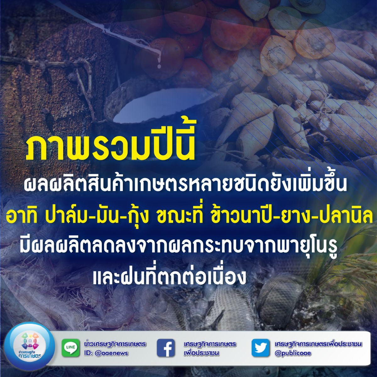 ภาพรวมปีนี้ ผลผลิตสินค้าเกษตรหลายชนิดยังเพิ่มขึ้น อาทิ ปาล์ม-มัน-กุ้ง  ขณะที่ ข้าวนาปี-ยาง-ปลานิล มีผลผลิตลดลงจากผลกระทบ จากพายุโนรู และฝนที่ตกต่อเนื่อง 