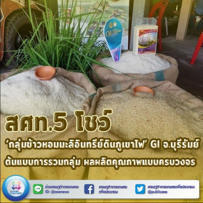 สศท.5 โชว์ ‘กลุ่มข้าวหอมมะลิอินทรีย์ดินภูเขาไฟ’ GI จ.บุรีรัมย์ ต้นแบบการรวมกลุ่ม ผลผลิตคุณภาพแบบครบวงจร 