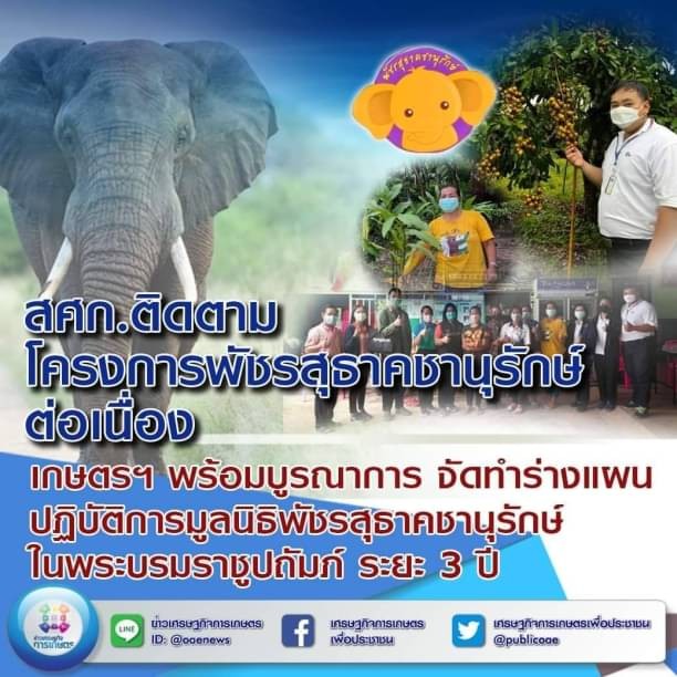 สศก. ติดตามโครงการพัชรสุธาคชานุรักษ์ต่อเนื่อง  เกษตรฯ พร้อมบูรณาการ จัดทำร่างแผนปฏิบัติการมูลนิธิพัชรสุธาคชานุรักษ์ ในพระบรมราชูปถัมภ์ ระยะ 3 ปี